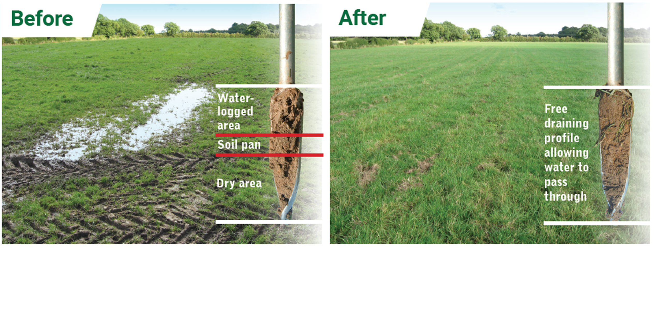 Sward Lifting - before and after comparison images