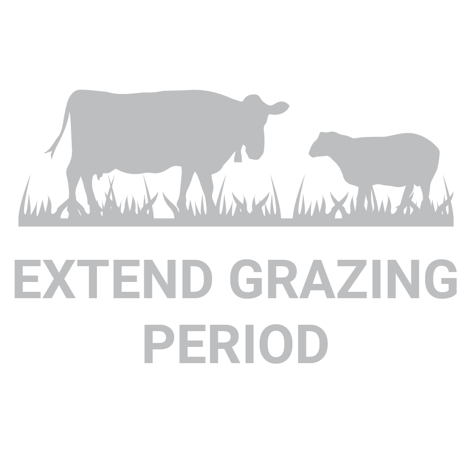 Extended grazing period icon