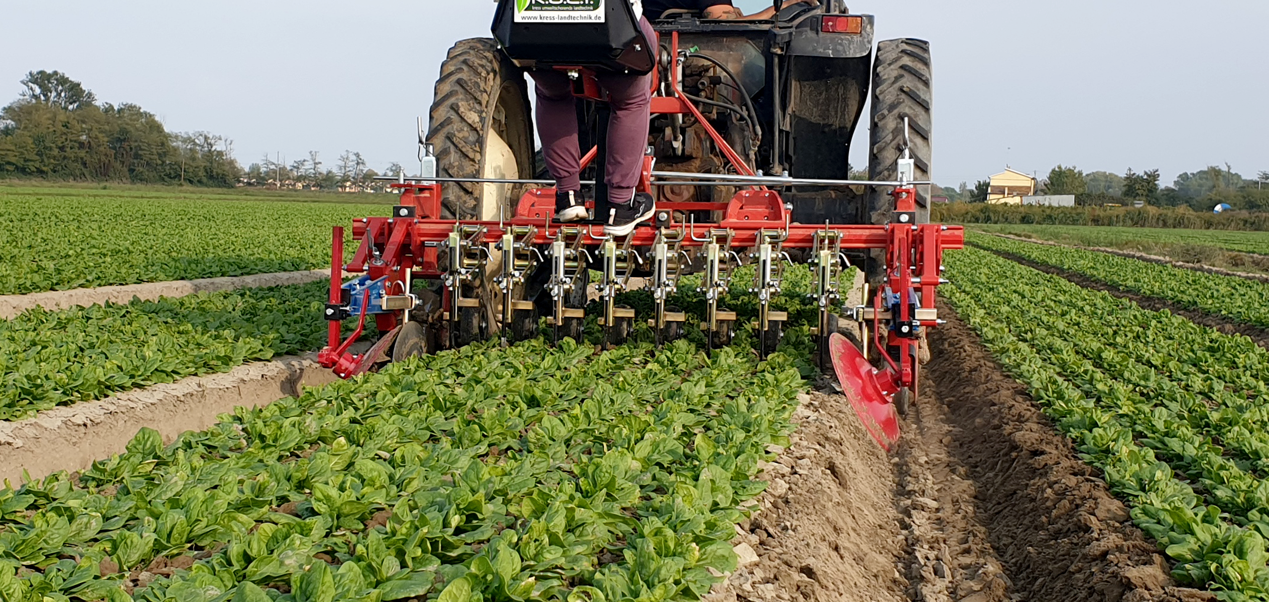 OPICO Inter/Intra Row Weeder working in bed