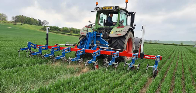 OPICO camera-guided Inter-Row cultivator weeding a crop of Wheat