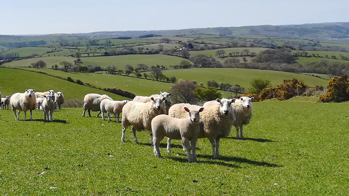 Grassland Machinery OPICO Products